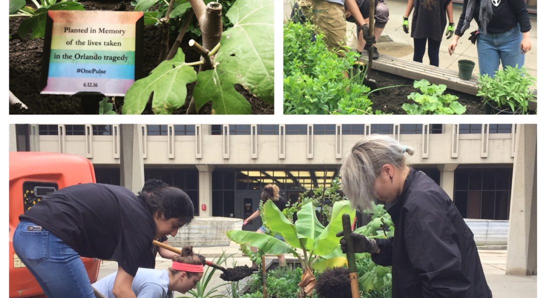 a collage of three images with students gardening