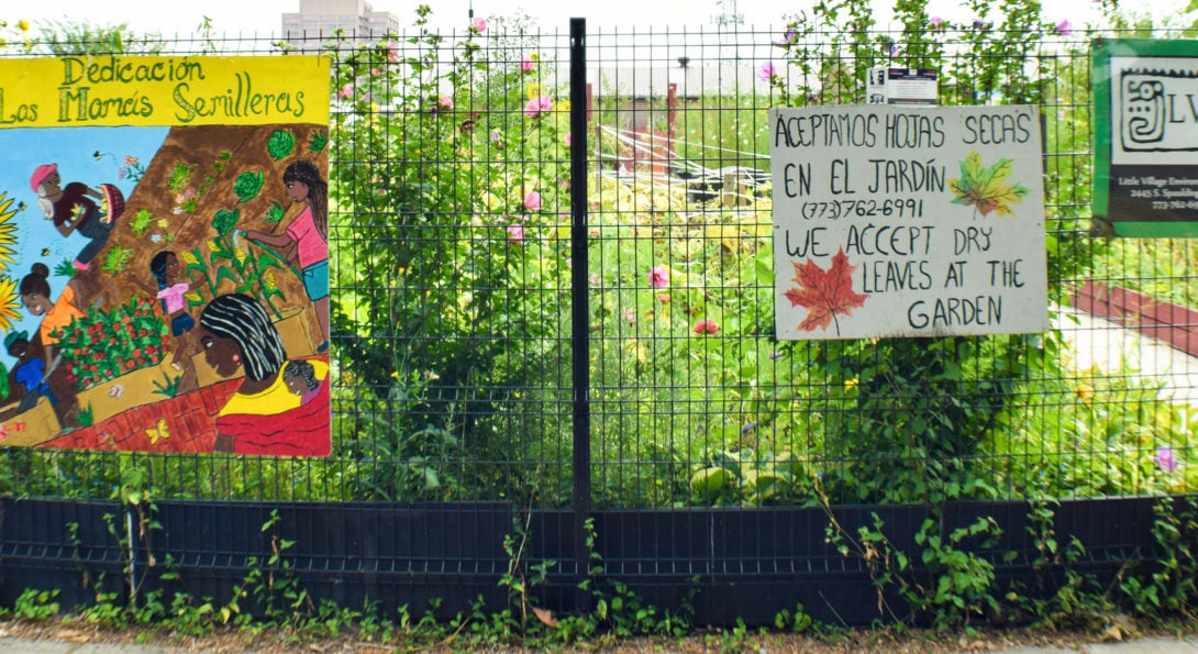 LVEJO community garden