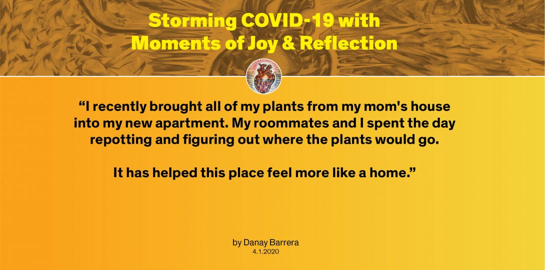 Moment by Danay: “I recently brought all of my plants from my mom's house into my new apartment. My roommates and I spent the day repotting and figuring out where the plants would go. It has helped this place feel more like a home.”
