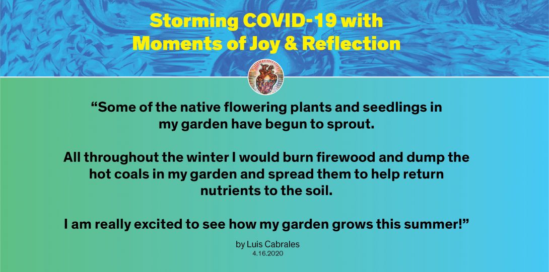 Moment by Luis: “Some of the native flowering plants and seedlings in my garden have begun to sprout. All throughout the winter I would burn firewood and dump the hot coals in my garden and spread them to help return nutrients to the soil. I am really excited to see how my garden grows this summer!”