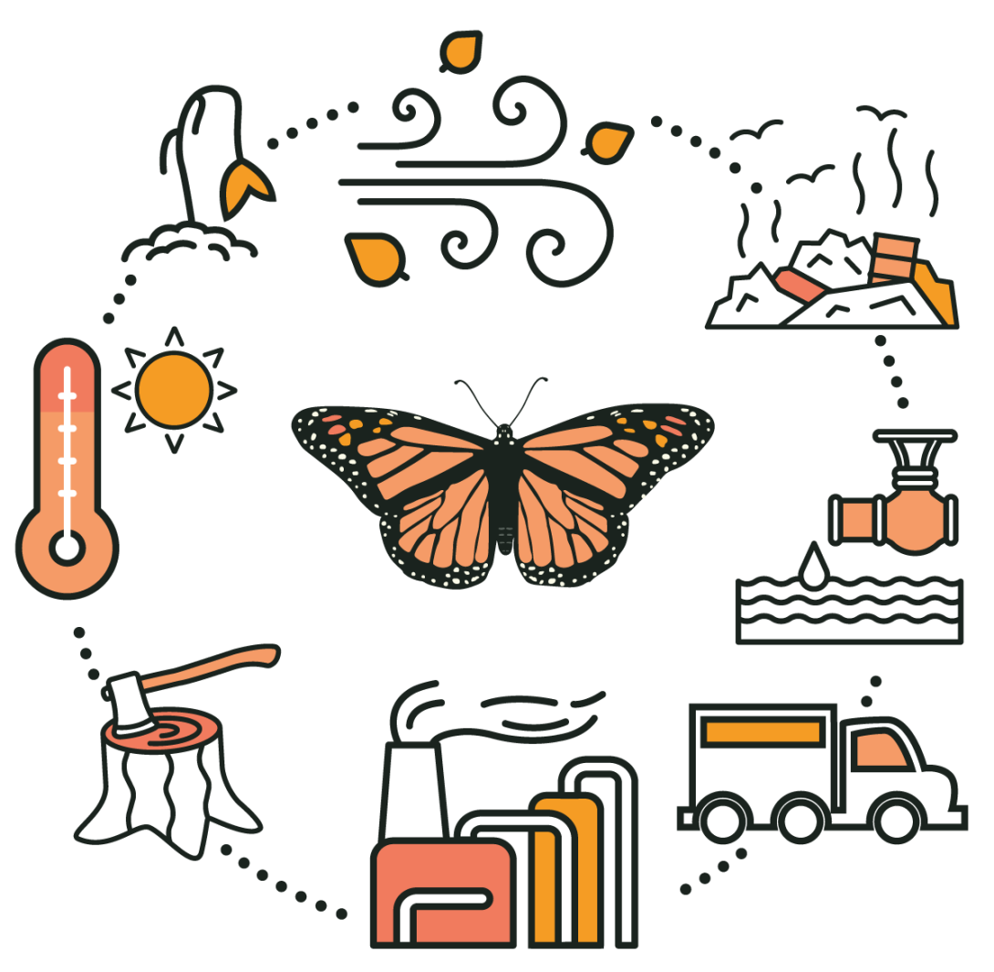 Illustration of various items that affect the monarch population and that pose a threat like Rising temperature, climate change, extreme weather, pollution, water droughts, vehicles, air quality, de forestation.