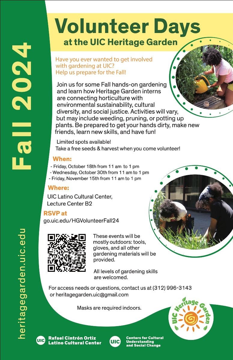 Vertical undulating green line with yellow letters that read heritagegarden.uic.edu Fall 2024. A yellow horizontal stripe towards the top reads in green letters Volunteer Days at the UIC Heritage Garden. The text with the event details is listed in a white background. There are two pictures in the poster in a circular shape surrounded by a circular green border made up of an outside green line and an inside set of green dots. Two pictures are displayed one in the upper right hand corner with a student watering. The other picture displayed on the bottom left hand corner has two gardeners working the soil.